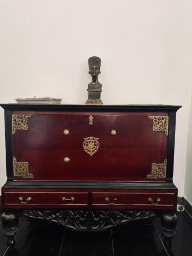 Vivid Colombo - image 6