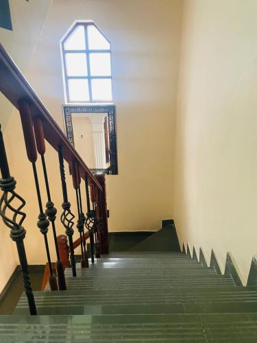 Vivid Colombo - image 3