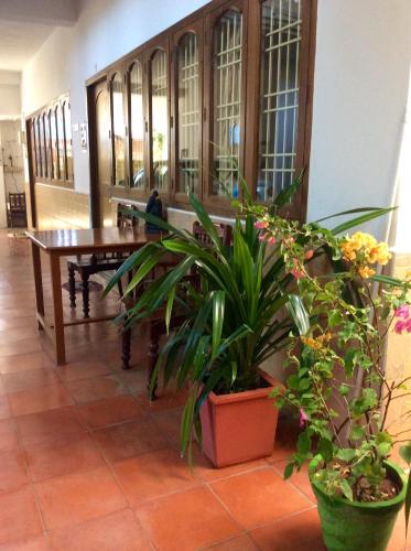 Balcony/terrace, Daphne Hotel in Mamallapuram