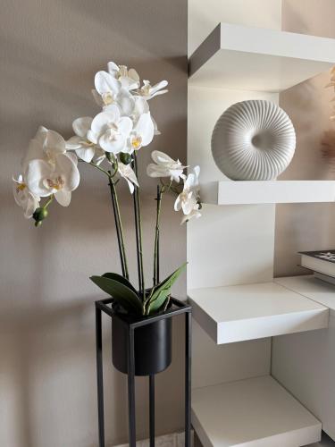 Apartment in Komotini, Komotiní (fotografie 3)