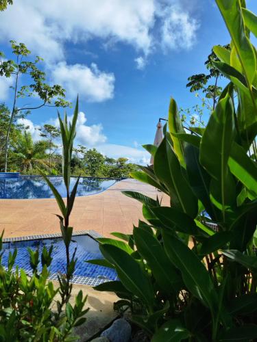 . Corcovado Lodge Houses-Villas-pool-great views