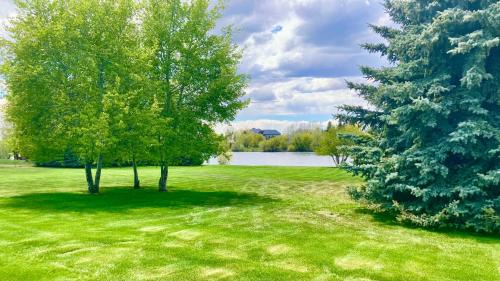 Chester Currents Chester Currents