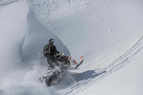 Chester Currents Chester Currents