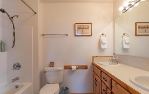 Chester Currents Chester Currents