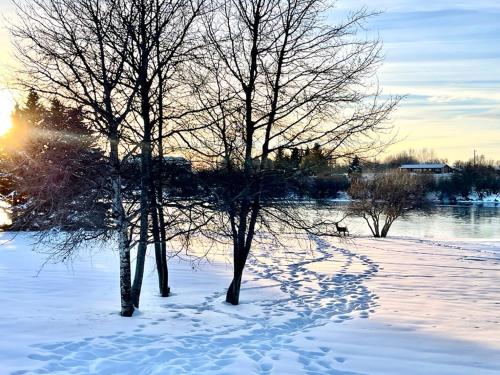 Chester Currents Chester Currents