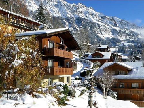 Gerbera 2, 2 Bett Wohnung - b48632 Wengen
