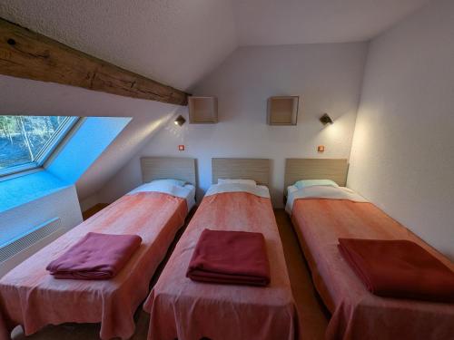 Gîte de groupe familial, accessible handicap, randonnées Vosges - FR-1-583-305
