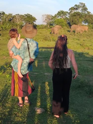 Ethili Lake view & Safari Camp