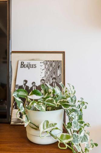 VAQUAY Casa Boogie In Brunswick East