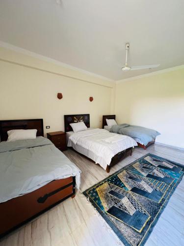3 twin beds