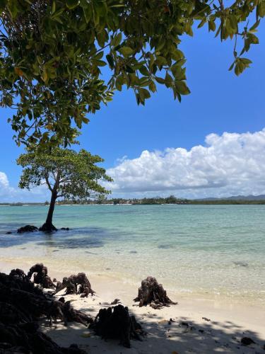 Grand Bay Mont Choisy Coastal Getaway