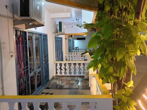 Ocean Guest House - image 2