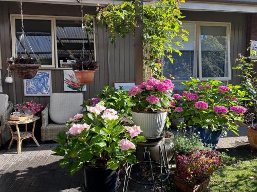 A homestay with a cottage garden