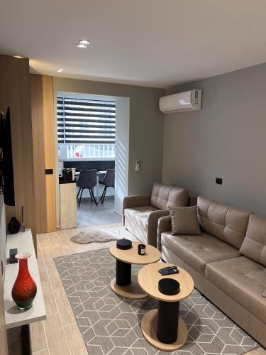 One-Bedroom Apartment image 5