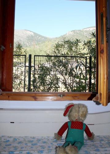 Beautiful House beside the Sea!