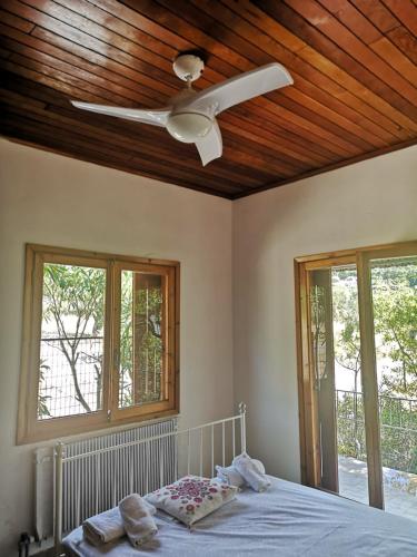 Beautiful House beside the Sea!