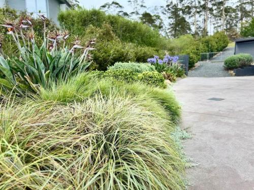 The Nest by Batemans Bay