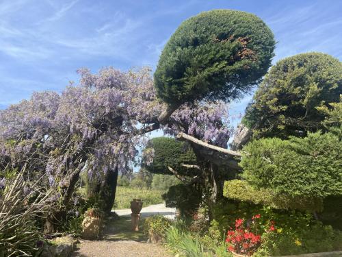 LA MAISON DE JUSTINE – Port Grimaud/Grimaud, ID