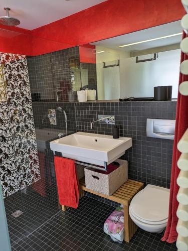 Appartement in down Town Kleinbasel, Basilej (fotografie 3)