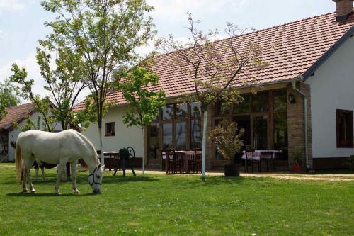 ห้องอาหาร, Pansion Sašin Salaš 40m2 (Pansion Sasin Salas 40m2) in ซายโลโว