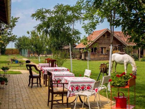 ห้องอาหาร, Pansion Sašin Salaš 40m2 (Pansion Sasin Salas 40m2) in ซายโลโว