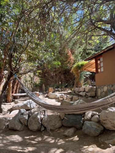 Cabanas El Albaricoque Cochiguaz in Pisko Elkvi