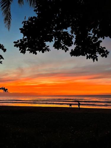 Payapa Beach in Aborlan