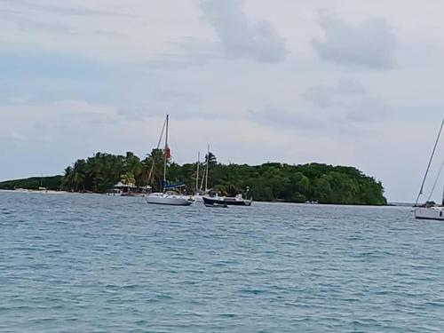 Appartement T2 élégant et spacieux, proche du centre ville