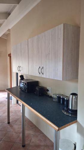 Dolphin in برينتون