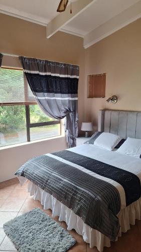 Dolphin in برينتون