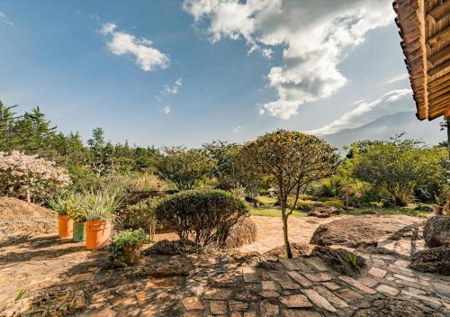 Studio with Garden View image 5