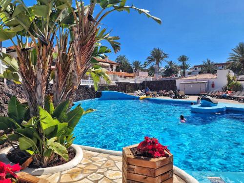 Dreaming Paraiso Royal 1