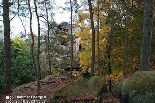 Besedicke skaly in Koberovy