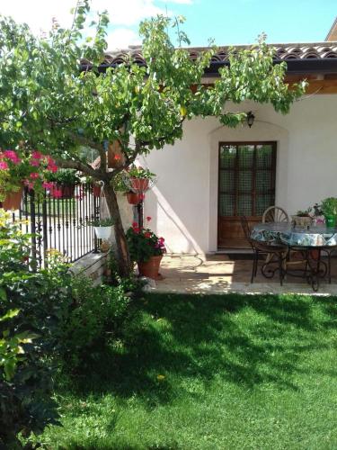 Mountain Vacation in Scontrone