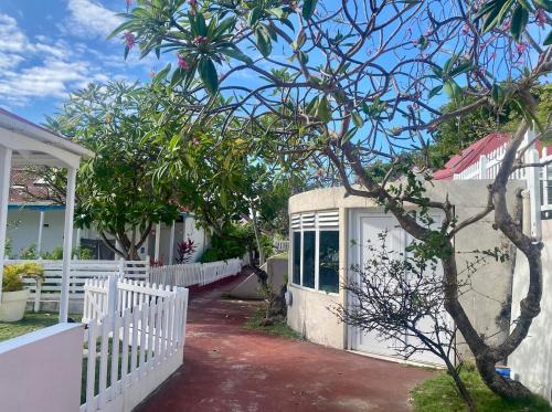 Bungalow Anolis face a la mer a 2 min de la plage. in Terre-de-Haut