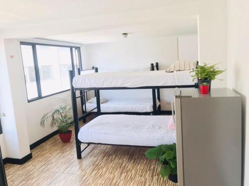 Hostel 7th floor and studios