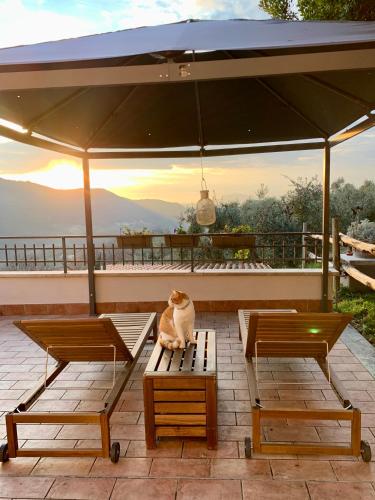 Kilátás, Agriturismo La Terrazza su Farfa in Castelnuovo di Farfa