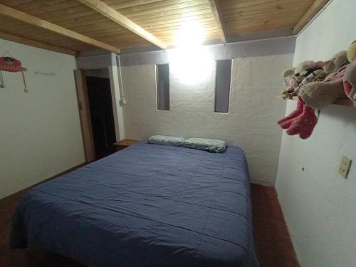 Casaluma, Jose De San Martin (photo 8)