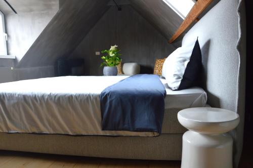 Amato-Brugge - image 3