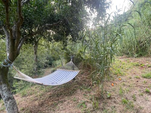 Bližnja okolica, Nascente home place in nature next to a waterfall in Sao Lourenco Do Douro