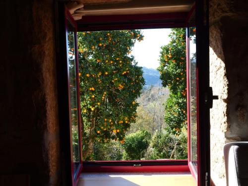 razgled, Nascente home place in nature next to a waterfall in Sao Lourenco Do Douro