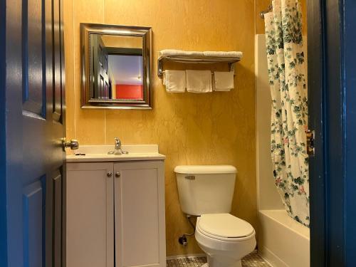 南安普敦霍磊酒店