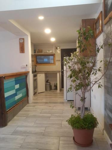 Lo de Pere in Mountainside