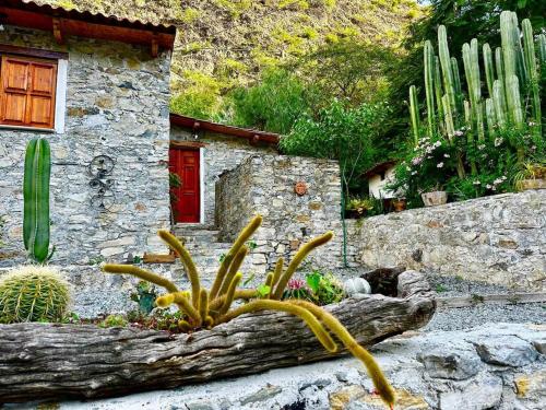 Cabañas Rincón Metztitlán