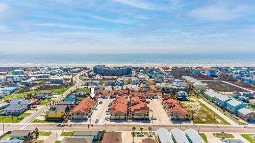 Twisted Pelican - Beach Gear Included