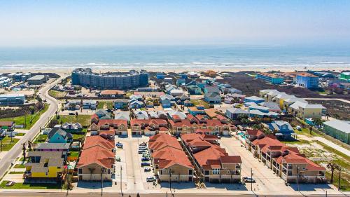 Twisted Pelican - Beach Gear Included