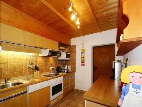 Apartments home Hippach im Zillertal - OTR05105a-QYC - image 5