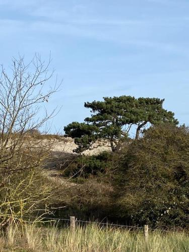 De Zeester in ลาเคชอม