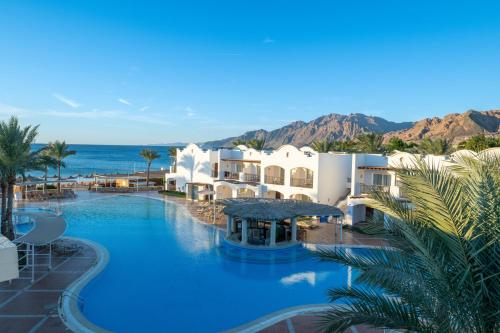 مسبح, جاز دهبية (JAZ Dahabeya) in دهب