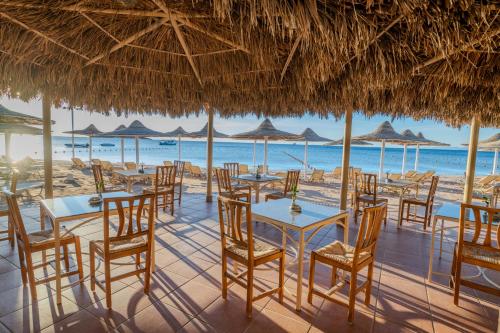 مطعم, جاز دهبية (JAZ Dahabeya) in دهب